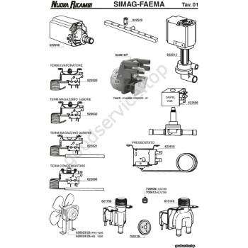 Table SIMAG-FAEMA 01
