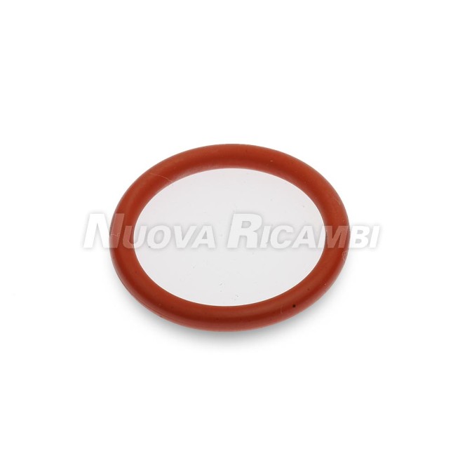 Прокладка O-RING (20,24 x 2,62)