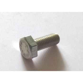 S.S.SCREW TE M10x25
