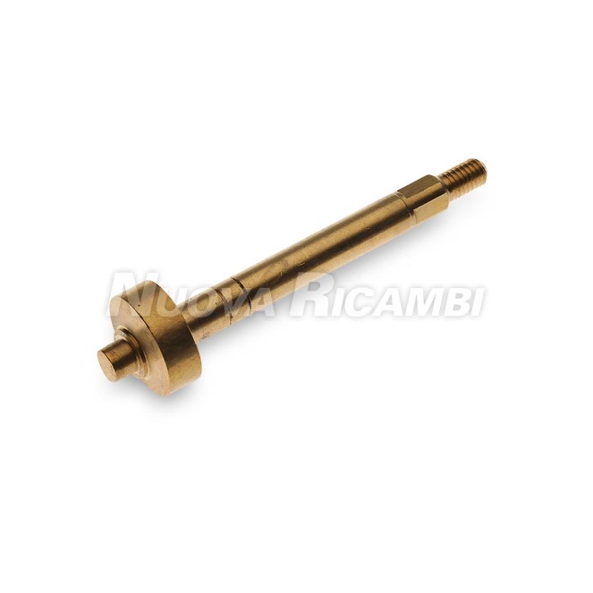 GROUP STEM CAM P6