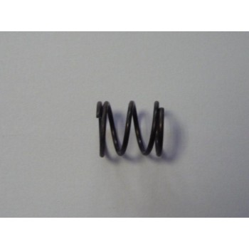 INFERIOR MICRO SPRING INFERIOR MICRO SPRING