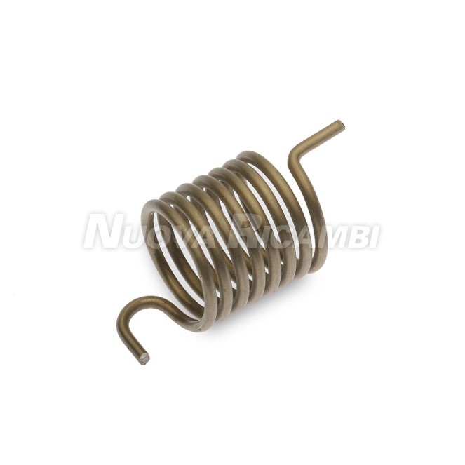 GROUP STEM SPRING