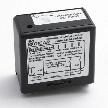 ELECTRONIC BOX FOR STEAM WANT AUTOSTEAM