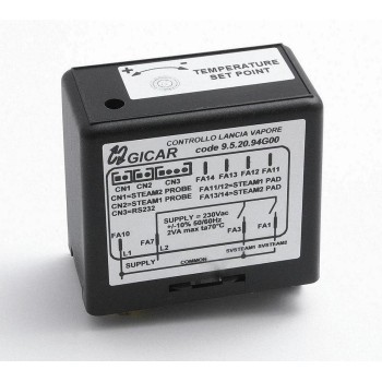 ELECTRONIC BOX FOR STEAM WANT AUTOSTEAM