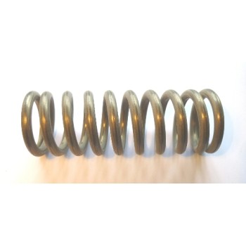 STAINLESS STEEL LEVER GROUP SPRING