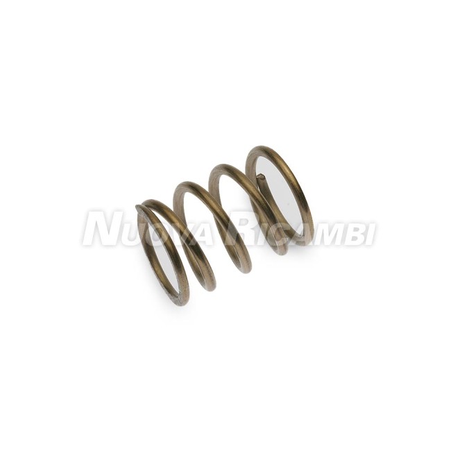 STEAM VALVE SPRING