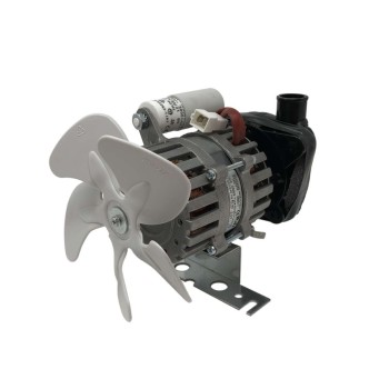 MOTOR PUMP W90 CB246-249-316-416-425