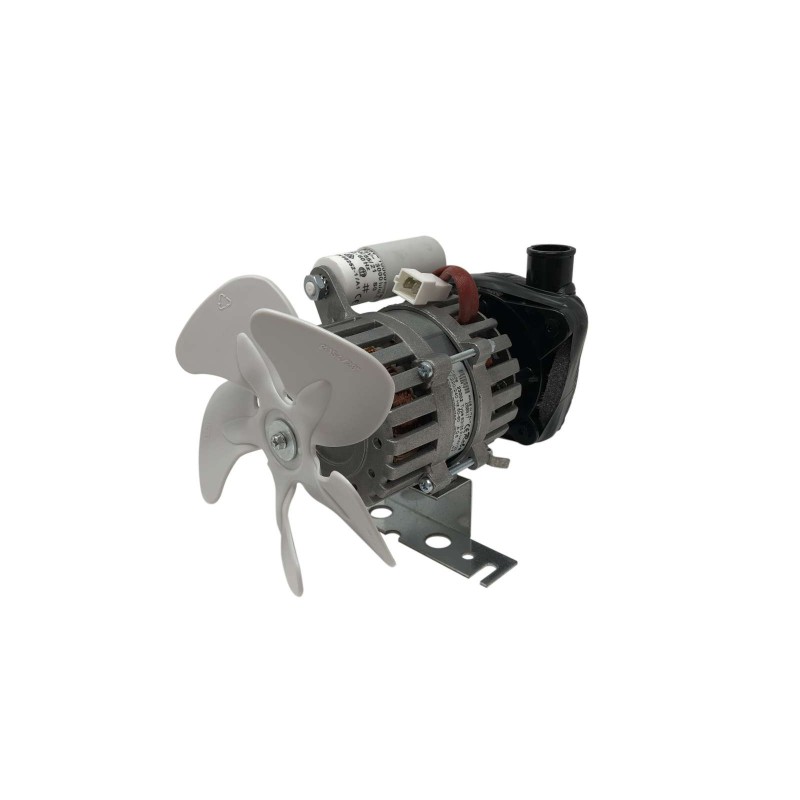 MOTOR PUMP W90 CB246-249-316-416-425