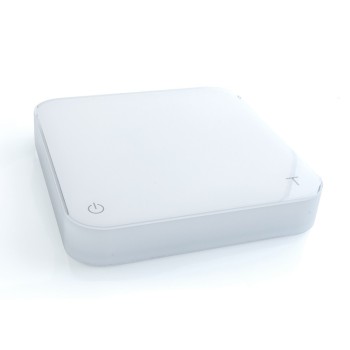 WHITE SCALE ACAIA PEARL