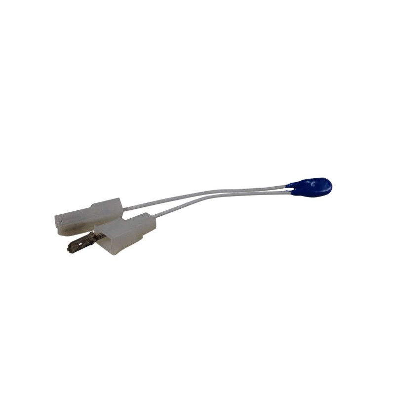THERMOPROTECTOR FOR PUMP