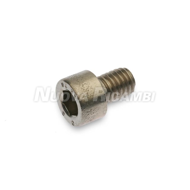 STAINLESS STEEL SCREW M6x8