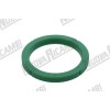 GASKET RANCILIO GREEN