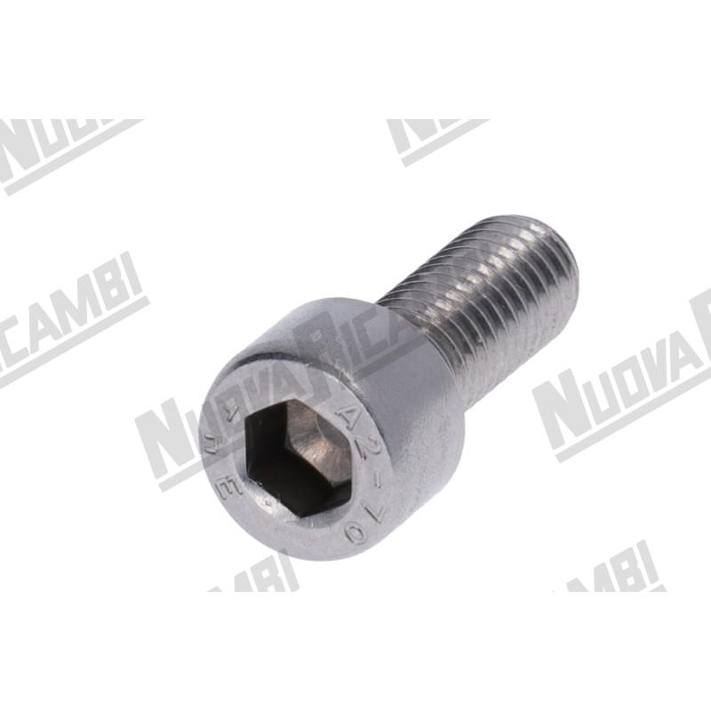 SCREW TCCE 8x20 INOX