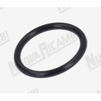 Ущільнювальне кільце розширювального клапана - 21x17x2мм - для VBM/ BFC/ FIAMMA RST