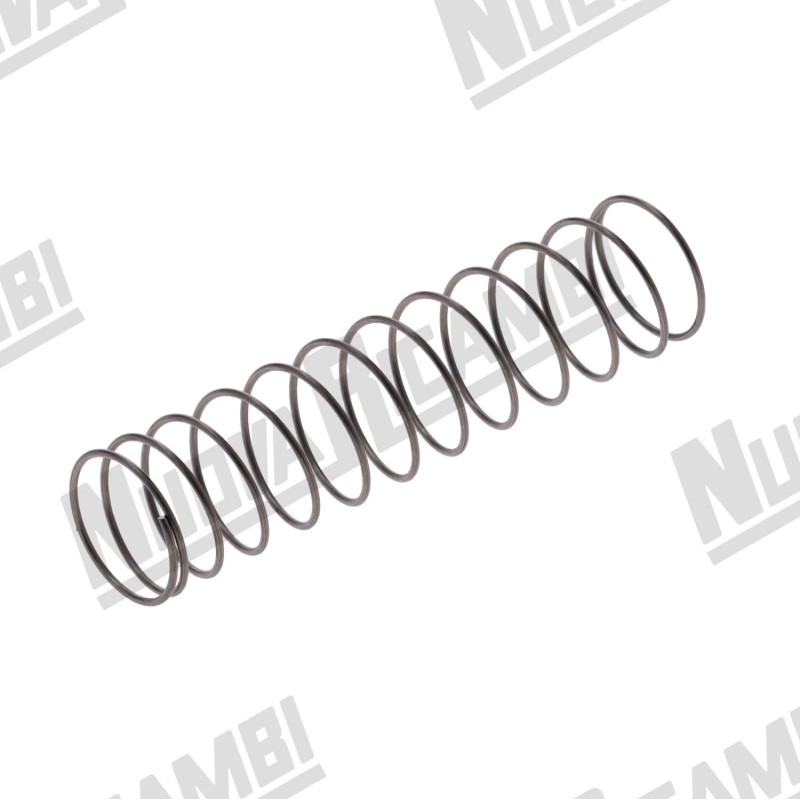 ASSEMBLY VALVE SPRING