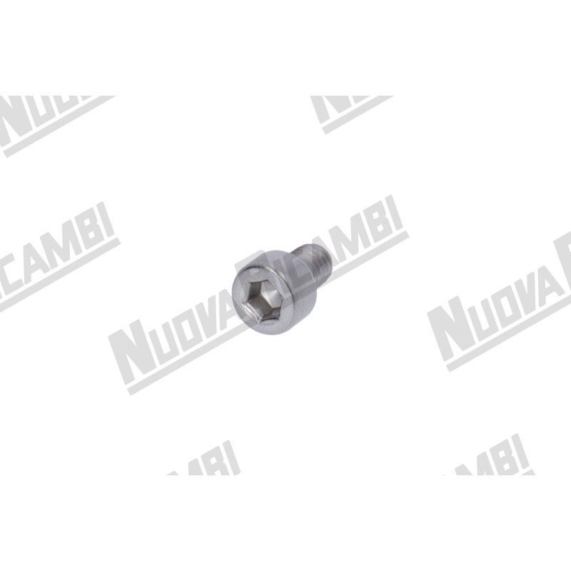 S.STEEL SCREW TCEI M4x6 S.STEEL SCREW TCEI M4x6