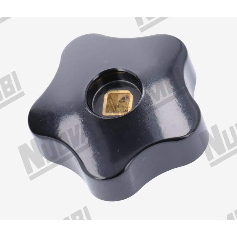 GIOTTO STEAM HANDLE ?50