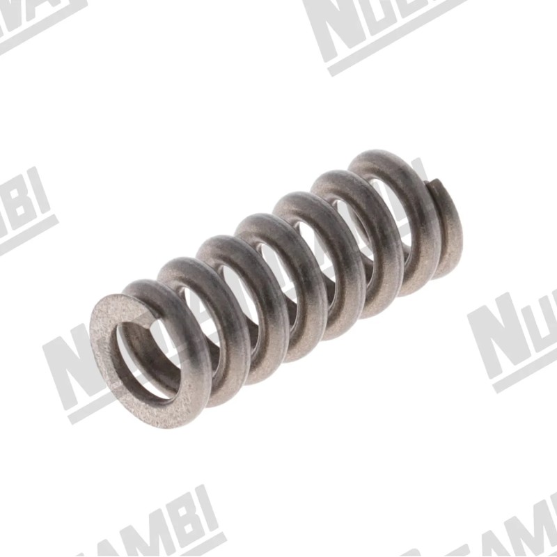 EXPANSION VALVE SPRING EXPANSION VALVE SPRING