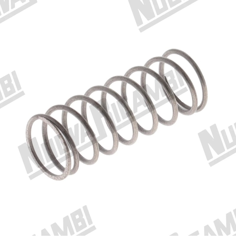 ONE-WAY VALVE SPRING
