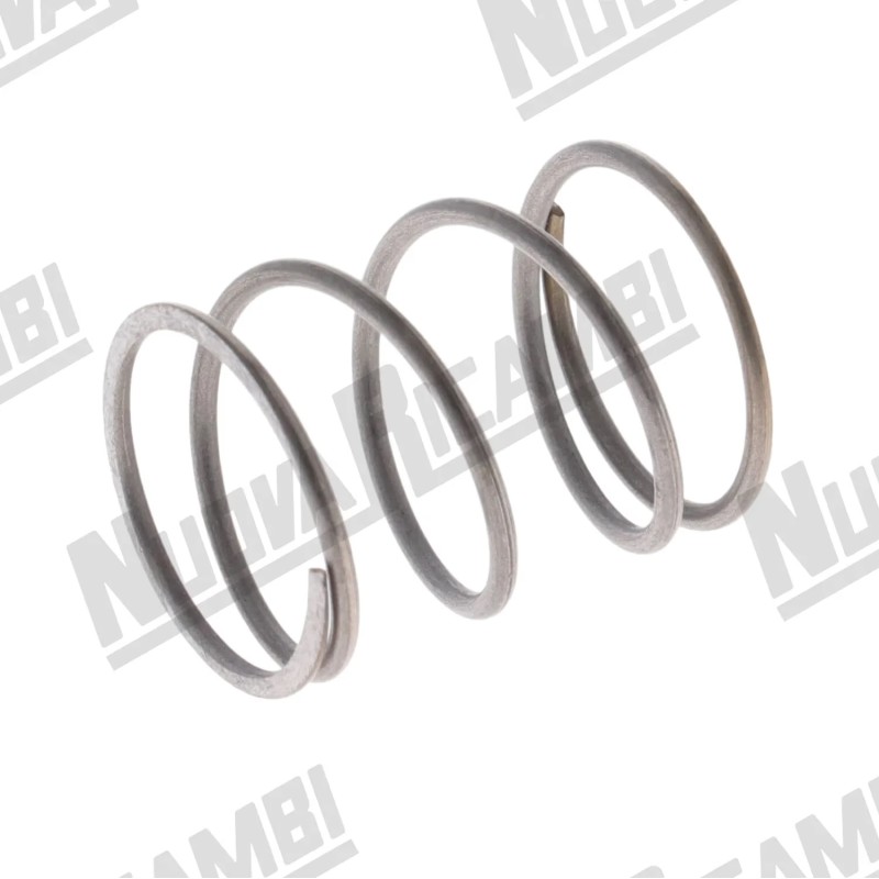 SPRING STEAM VALVE RAPIDO