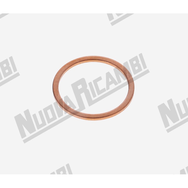 COPPER GASKET 24x20x1