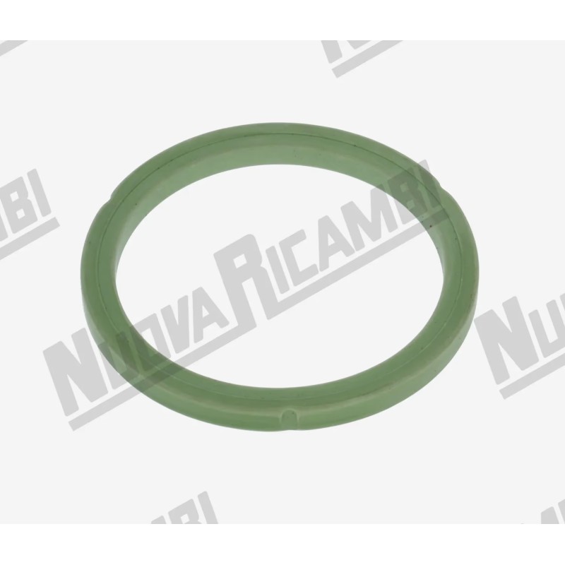 FILTERHOLDER GASKET GREEN VITON FILTERHOLDER GASKET GREEN VITON