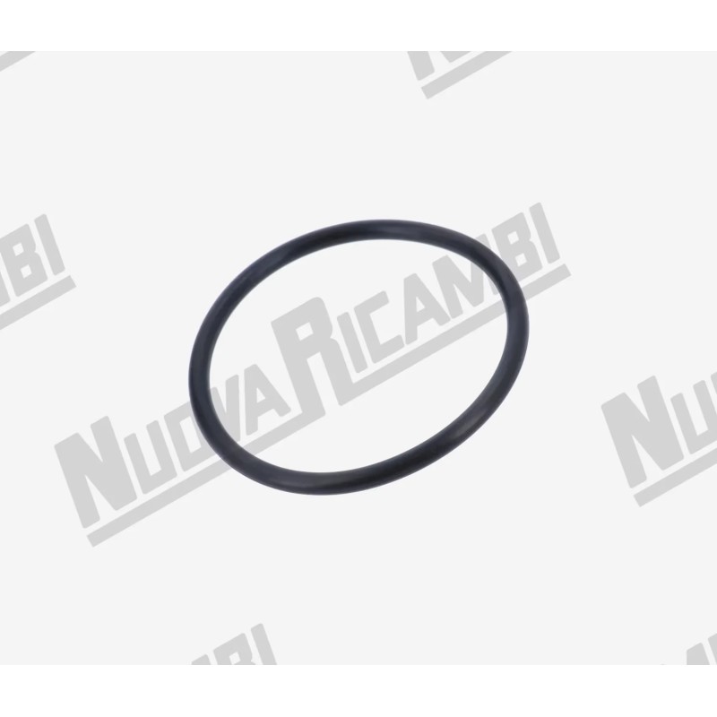 GROUP FLANGE O-RING 75,57x5,33 R40 EP