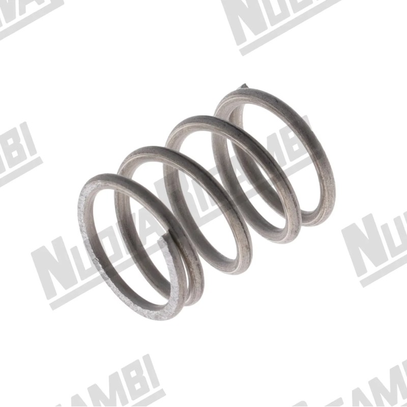 STEAM VALVE SPRING