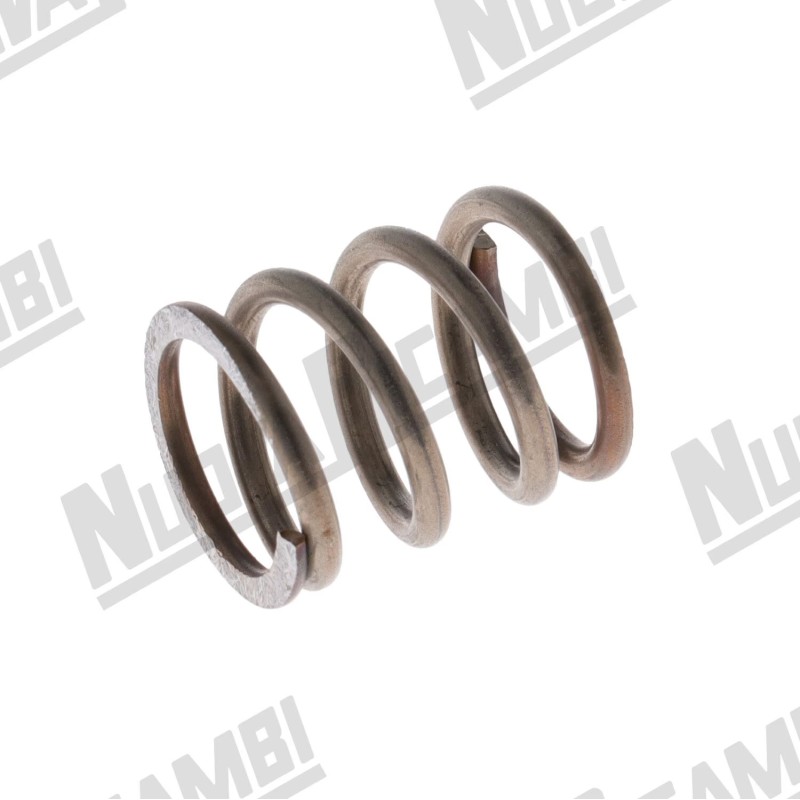 VALVE SPRING