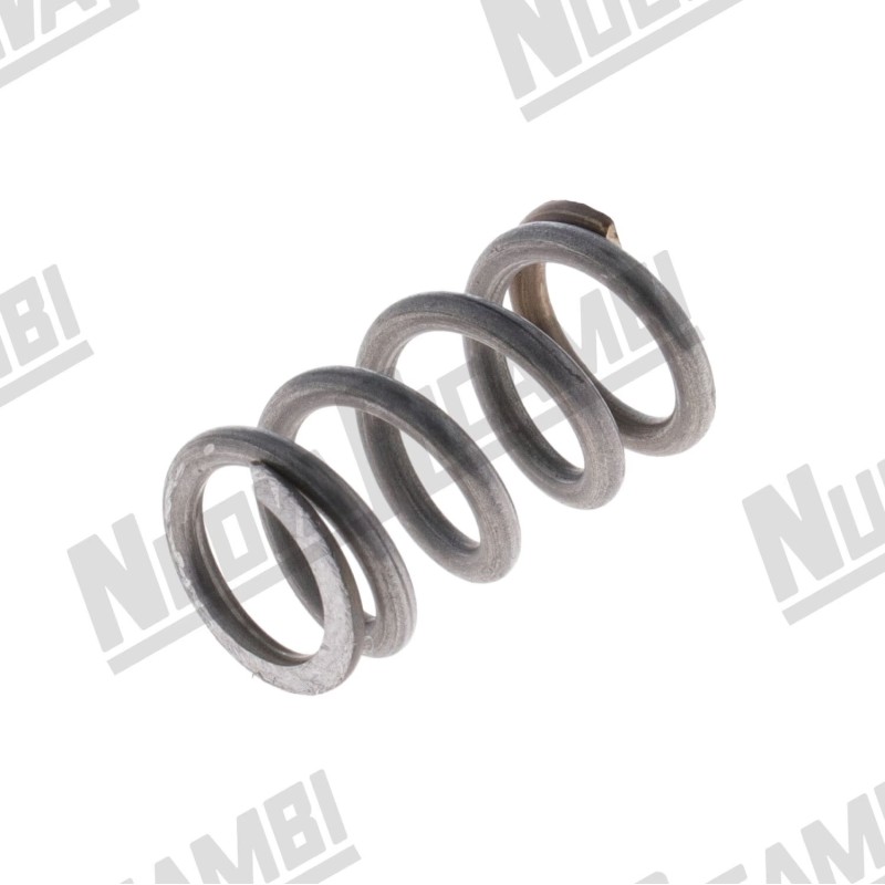 Пружина 700830