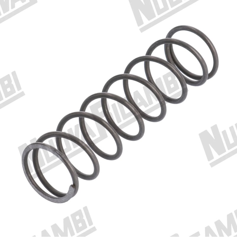 DOSER-REGULATION SPRING