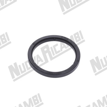 Оригінальна прокладка портафільтра з внутрішніми вирізами Ø 64x52x6.5мм для ASTORIA CMA/BRUGNETTI/ WEGA Оригінальна прокладка портафільтра з внутрішніми вирізами Ø 64x52x6.5мм для ASTORIA CMA/BRUGNETTI/ WEGA