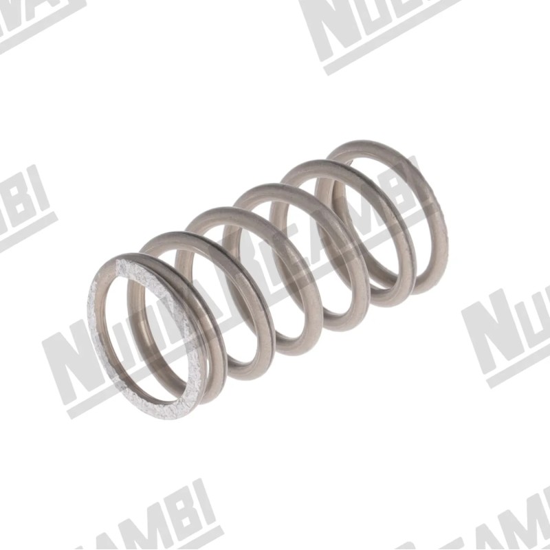 VALVE SPRING VALVE SPRING
