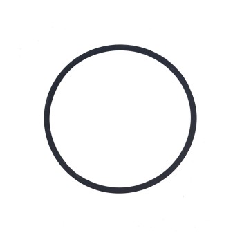 Прокладка фланця (тена) нагрівального елемента BEZZERA OR 73X3 VITON