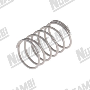 Пружинний фільтр жиклера групи Ø9x7,7x14мм для BRUGNETTI