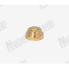 BRASS PLUG BRASS PLUG