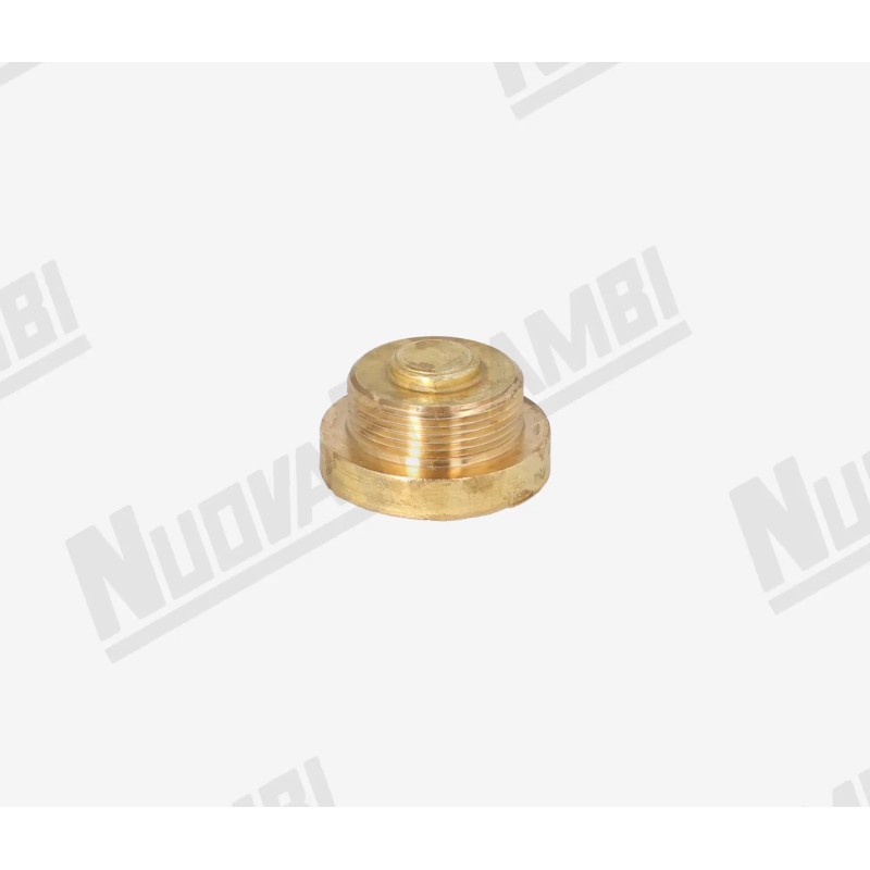 BRASS PLUG BRASS PLUG