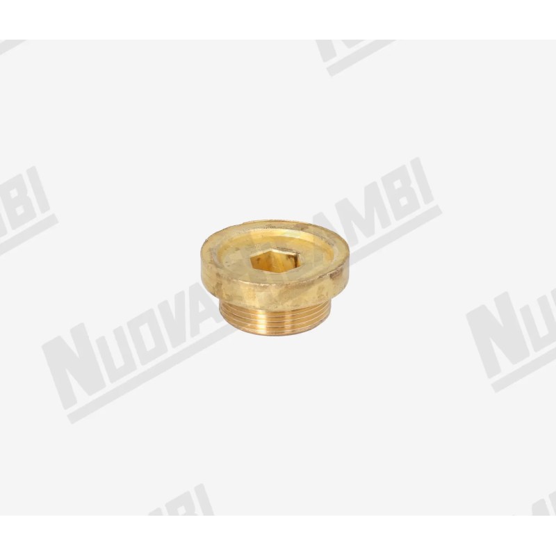 BRASS PLUG BRASS PLUG