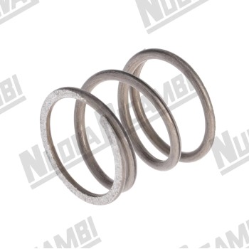 Пружина фильтра жиклера группы Ø 20x16,3x20мм для ELEKTRA