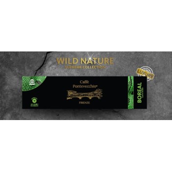 Кава в капсулах Caffe Pontevecchio Firenze Boreal, 20 капсул Nespresso