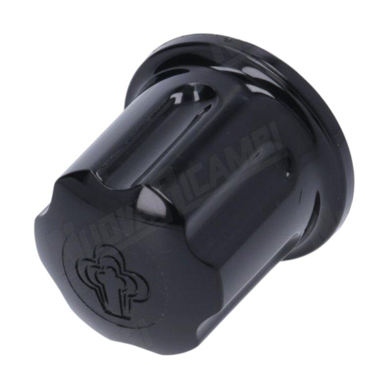 STEAM HANDLE WITH SPRING