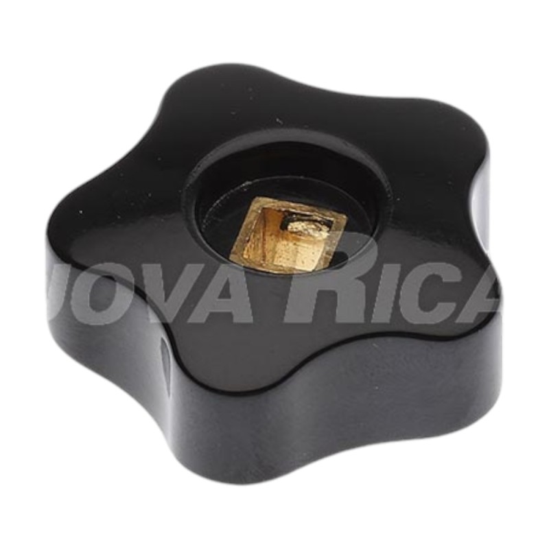 GIOTTO STEAM KNOB ?40