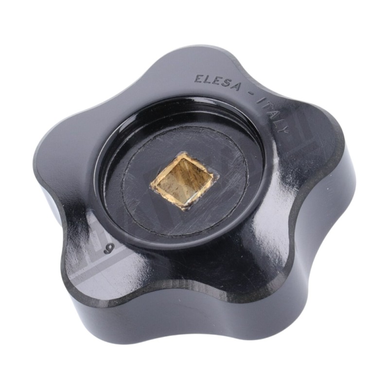 GIOTTO STEAM HANDLE ?50