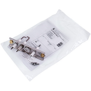 Електроди розпалу та іонізації для конденсаційного котла Bosch 7000i, Buderus GB172 30-42 кВт 87186630920