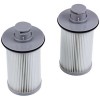 Набір фільтрів EF78 HEPA (2шт) для пилососа Electrolux TwinClean 900196701