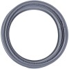 Манжета люка для пральної машини Indesit C00110330