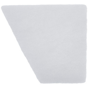 Фільтр вихідний (мікро) для мийного пилососа Zelmer \ Bosch 919.0086 00757488